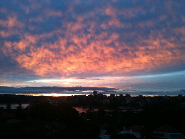 28401_1465958930356_2070431_n